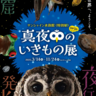 「暗闇」で活動する生き物を展示した特別展