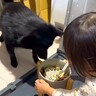 娘が犬のご飯に『おいしくなぁれ』と魔法をかけた結果…まさかすぎる結末が453万回再生「フライングしてるの草」「あまりにも尊い光景」