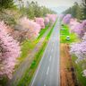 【絶景ドローン旅】北海道を代表する”絶景”を空から見てみた