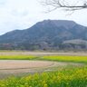【友人と登山中に転倒】新潟市西蒲区の角田山で60代男性が負傷、消防隊により無事救助