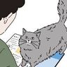 “猫ファースト”な雑誌の読み方【猫マンガ　男の猫道】