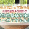 【ほんとに入ってないの！？】動物性食材不使用の【ヴィーガンちゃんぽん】を食べてきた！
