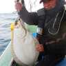 落とし込み釣りで良型ヒラメにブリが好反応で船中2桁安打！【福岡・明生丸】