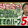 植えるだけ！