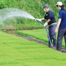 参加者募集　米作りで就労支援　４月26日に説明会
